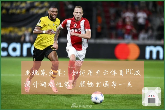 老玩家分享：如何用开云体育PC版提升游戏性能，顺畅打通每一关